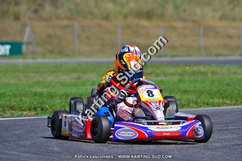 DSC_ (1375).jpg